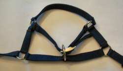 Adjustable Noseband Halter