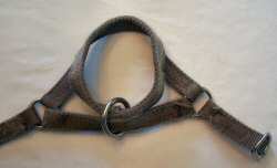Fixed Noseband Halter
