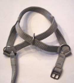 X-Style Noseband