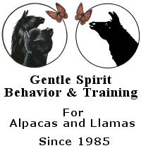 Gentle Spirit Beahvior and Training Logo