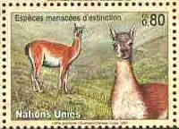 Qunaco United Nations