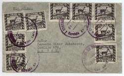 My first llama stamps