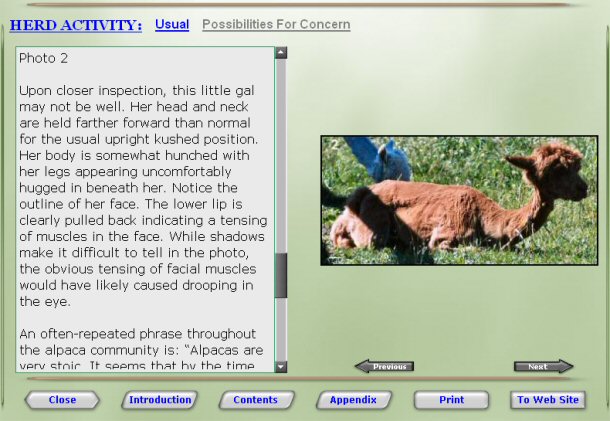 Example chapter from Alpaca Talk by Cathy Spalding