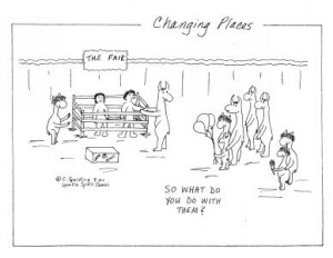 So What do you do with them? by Cathy Spalding 