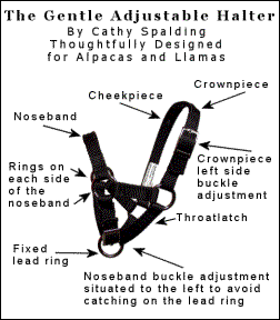 The Gentle Adjustable Halter by Cathy Spalding